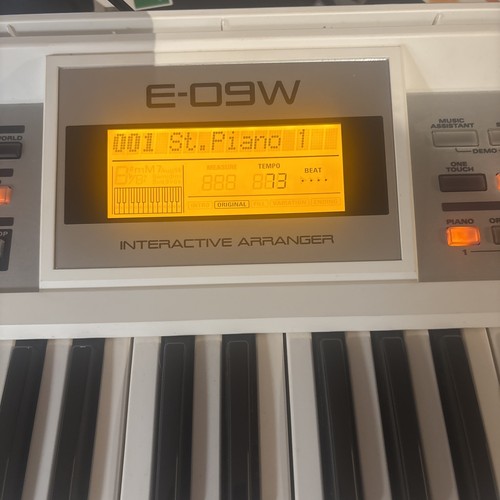 Roland e09w white rare - white,