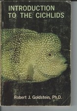 Introduction to Cichlids -