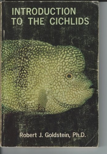 Introduction cichlids - introduction,