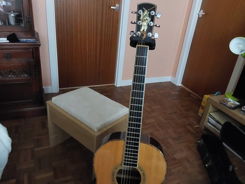 Larrivee l10 special - larrivee,