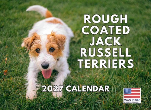 Jack russell rough broken - russell,