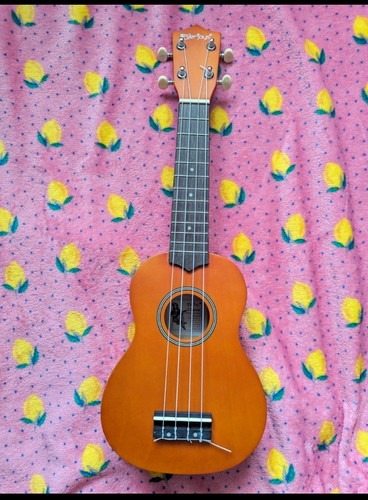 Everjoys acoustic string - everjoys, 4-string