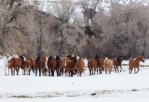 Routt county colorado - routt, 2016