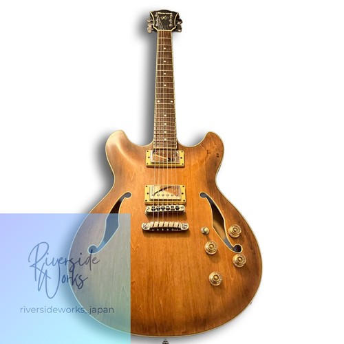 Ibanez artcore semi - ibanez,