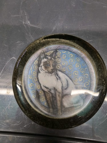 Dancing cat design - cat,