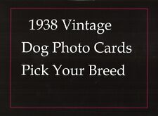 (AL3) 86 YEAR OLD ORIGINAL VINTAGE CHAMPION DOG PHOTO CARDS PICK BREED FROM LIST