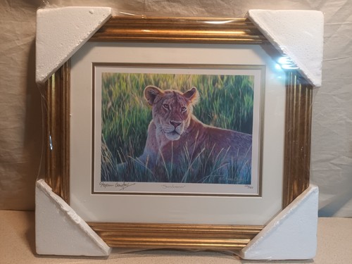 Stephen gayford print - gayford,