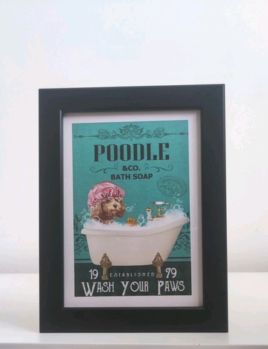 Poodle wash your - poodle, co
