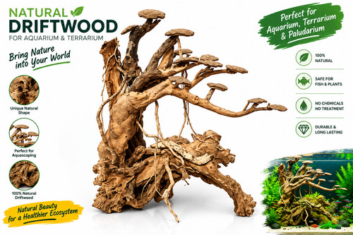 Natural aquarium driftwood - natural,