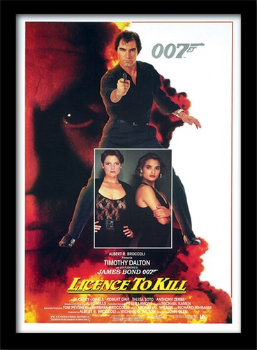 James bond licence kill - kill,