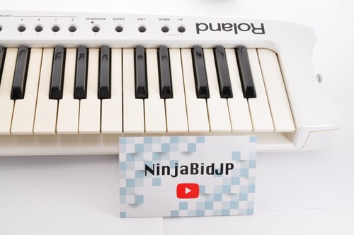 Roland keytar shoulder - roland,
