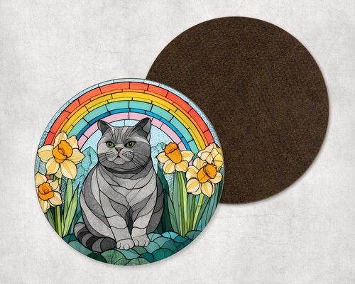 British shorthair cat daffodil - british,