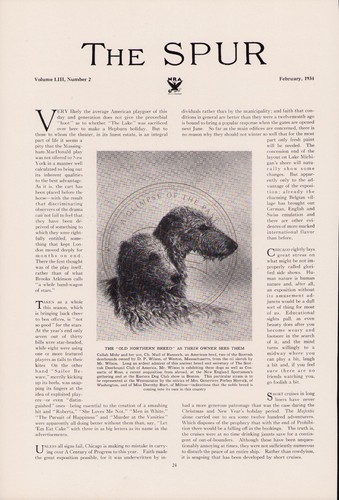 Scottish deerhound oil - scottish, sketch