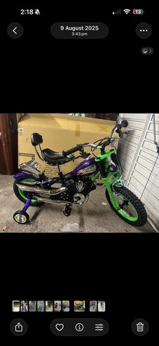 Chopper bike spray easy - bike,