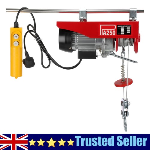 Electric hoist 250kg 550w - 250kg,