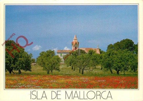 Picture postcard mallorca - picture,