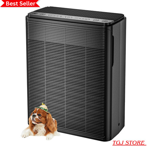 Air purifier for large rooms - for,