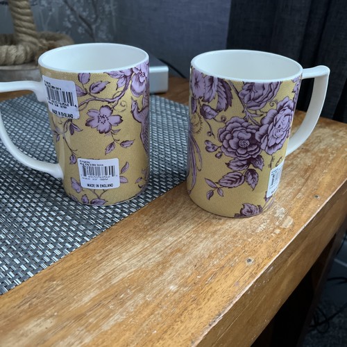 Spode kingsley pair - of, mugs