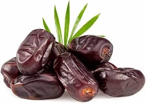 Khudri date palm fruit seeds - fruit,