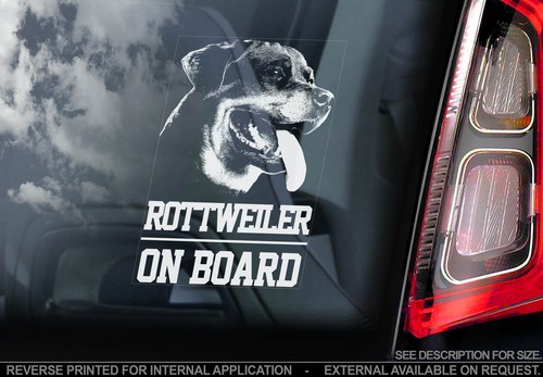 Rottweiler car window - -,