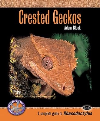 Crested geckos complete - crested,