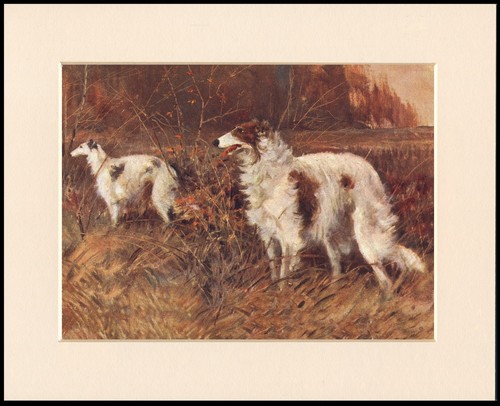 Borzoi dog art print - borzoi,