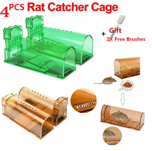 Mouse trap catcher - mouse,