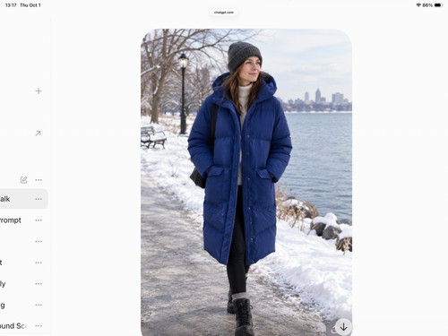 Everlane renew padded puffer - everlane,
