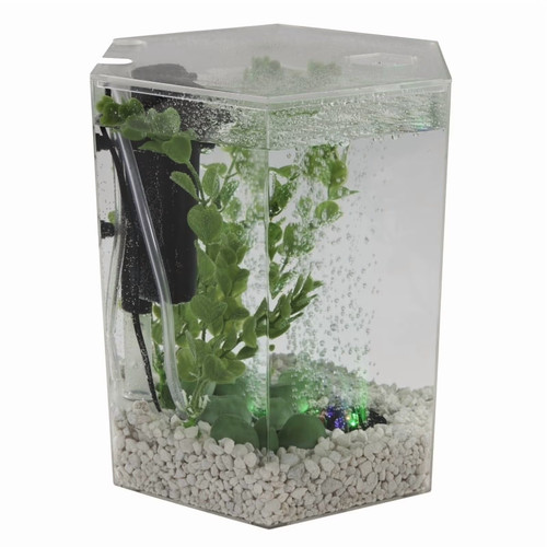 Gallon bubbling led aquarium - 1,