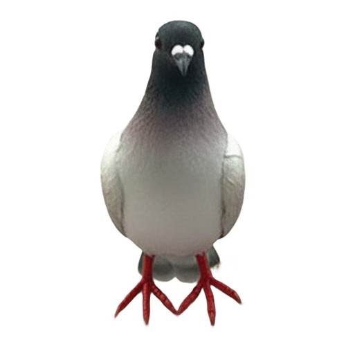Foam simulation pigeon model - foam,