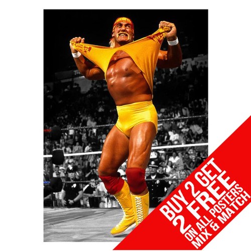 Hulk hogan wrestling poster - hogan,