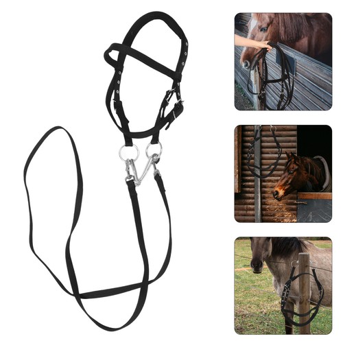 Headstall and flat braided - and,