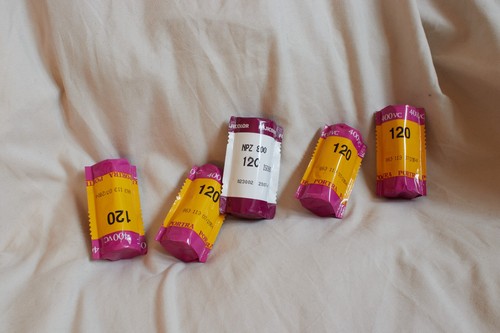 Expired 120 film - 4, x