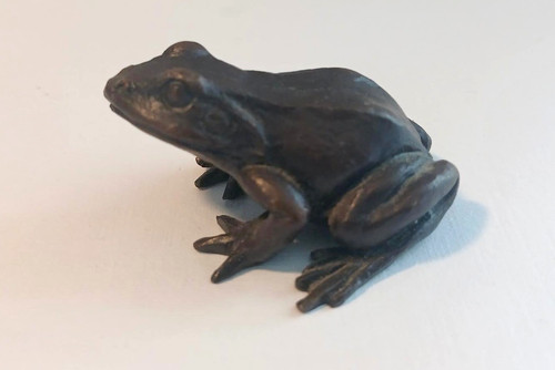 Baby frog sitting solid - frog,