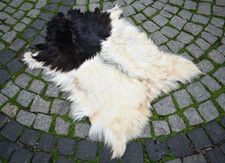 Angora Goat Leather Goatskin