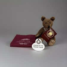 Charlie bears gallivant - charlie,