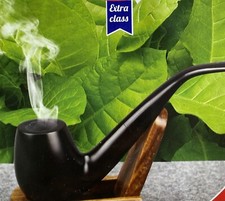 350 х TOBACCO ‘DYBECK’ SEEDS - Extra Class