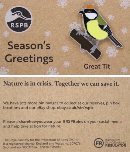 Rspb pin badge - rspb,