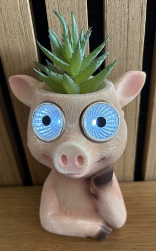 Solar pink resin - pink, pig