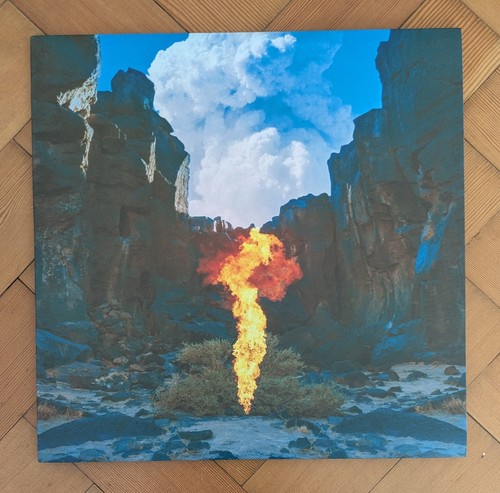 Bonobo migration gatefold - migration,