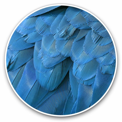 Vinyl stickers 15cm blue - x,