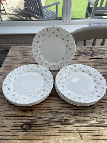 Medium plates wedgewood - medium,