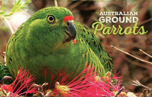 2024 australian ground parrots - australian,