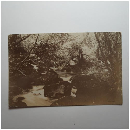 Woodland stream rapids real - stream,