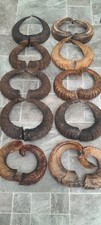 10 PAIRS Of Ram Horns