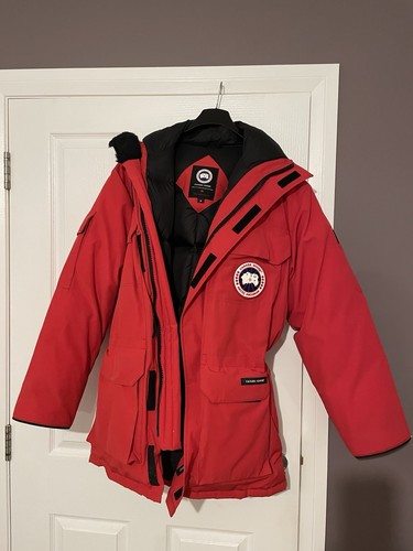 Canada goose arctic expedition - canada,