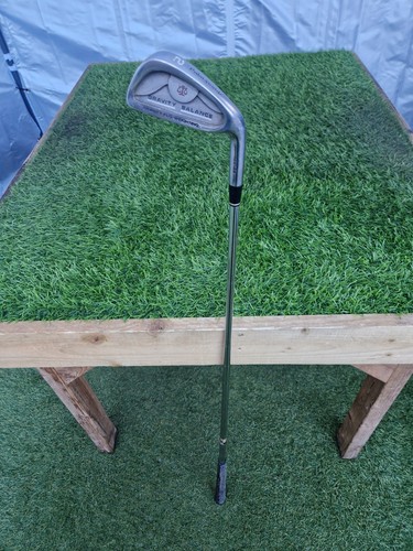 Palm springs gravity balance - palm,