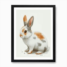 English Spot Rabbit Kids