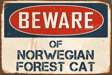 Beware of Norwegian Forest Cat