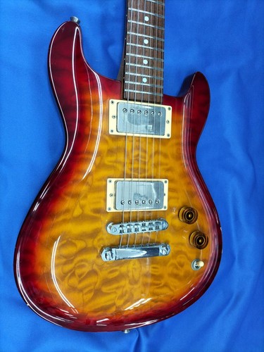 Fernandes apg 95gf electric - apg-95gf,